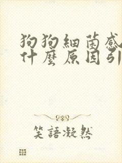 狗狗细菌感染是什么原因引起的