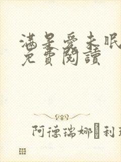 满是爱未眠小说免费阅读