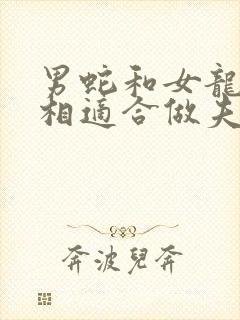 男蛇和女龙的属相适合做夫妻吗