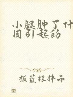 小腿肿了什么原因引起的