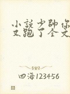 小说少帅你老婆又跑了全文免费读