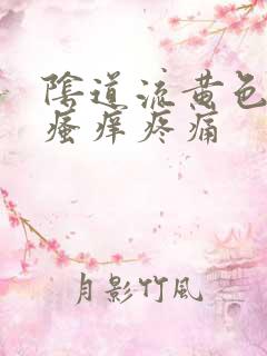 阴道流黄色液体瘙痒疼痛