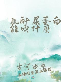 肌酐尿蛋白高不能吃什么