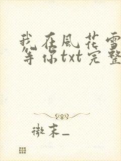 我在风花雪月里等你txt完整版