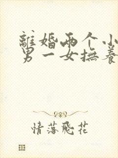 离婚两个小孩一男一女抚养权怎么判定