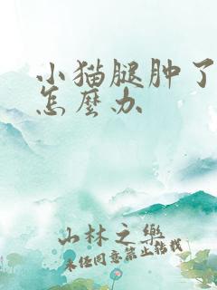 小猫腿肿了流脓怎么办