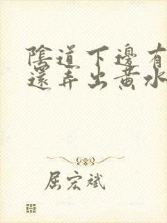 阴道下边有水泡还弄出黄水怎么回事