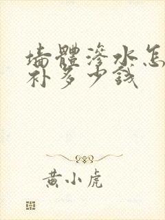 墙体渗水怎样修补多少钱