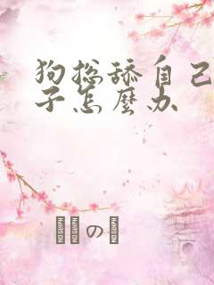 狗总舔自己的爪子怎么办