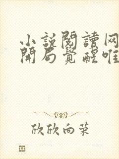 小说阅读网游:开局觉醒唯一sss天赋