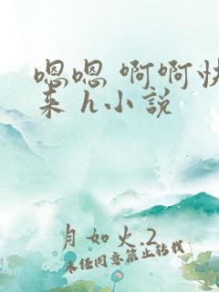 嗯嗯 啊啊快进来 h小说