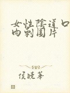 女性阴道口长小肉刺图片