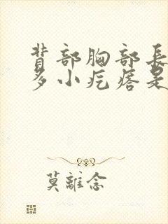 背部胸部长了很多小疙瘩是怎么回事