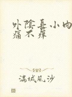 外阴长小肉粒不痛不痒