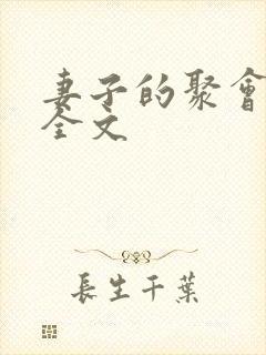 妻子的聚会小说全文