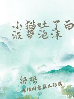 小猫吐了白色粘液带泡沫