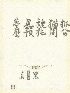 梦见被猫抓咬什么预兆周公解梦