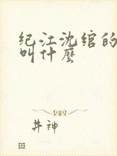 纪江沈绾的小说叫什么