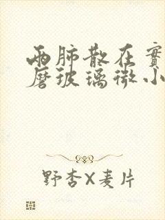 两肺散在实性及磨玻璃微小结节