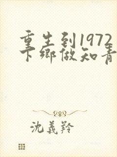 重生到1972下乡做知青小说