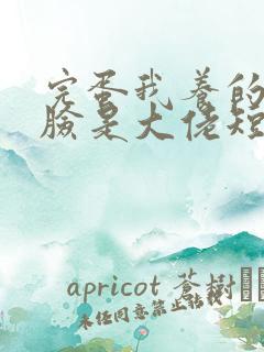 完蛋我养的小白脸是大佬短剧全集