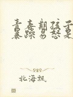 青春期孩子脾气暴躁易怒是抑郁焦虑吗