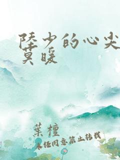 陆少的心尖宠妻莫暖