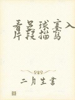 看足球赛入迷的片段描写