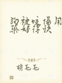 狗被咬伤用什么药好得快