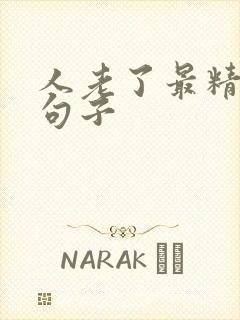 人老了最精辟的句子