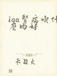 iga肾病吃什么肉好