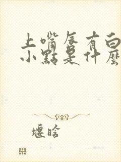 上嘴唇有白色的小点是什么原因