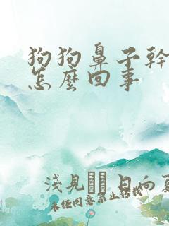 狗狗鼻子干发白怎么回事