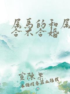 属马的和属鸡的合不合婚