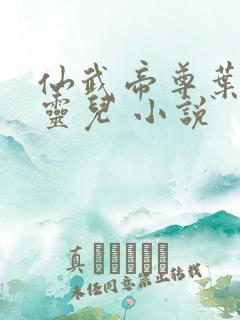 仙武帝尊叶辰楚灵儿 小说