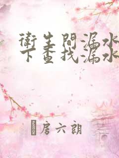 卫生间漏水到楼下查找漏水点