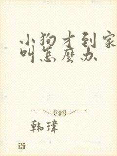 小狗才到家晚上叫怎么办