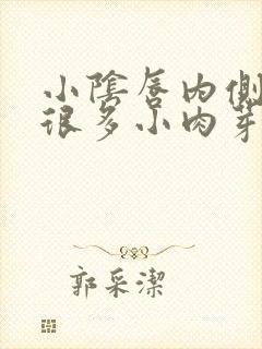 小阴唇内侧长了很多小肉芽不疼不痒