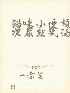 猫咪小便频繁每次尿就几滴怎么办