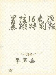 男孩16岁脾气暴躁特别叛逆