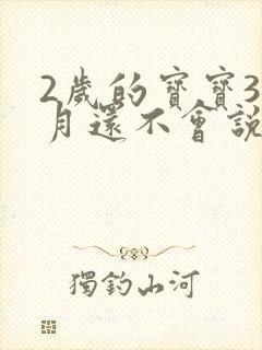 2岁的宝宝3个月还不会说话