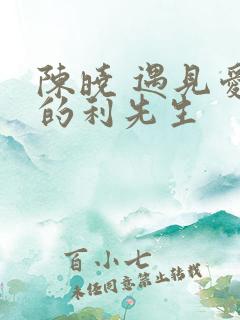 陈晓 遇见爱情的利先生