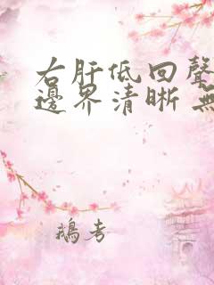 右肝低回声结节边界清晰 无血流信号