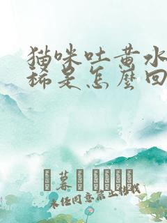 猫咪吐黄水又拉稀是怎么回事