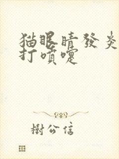 猫眼睛发炎流脓打喷嚏