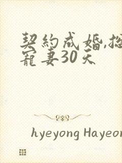 契约成婚,总裁宠妻30天