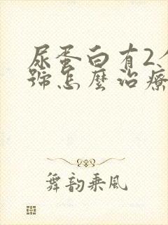 尿蛋白有2个加号怎么治疗