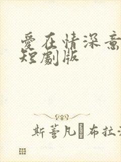 爱在情深意晚时短剧版