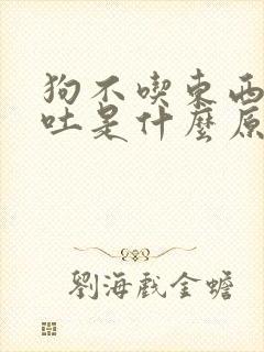 狗不吃东西还呕吐是什么原因