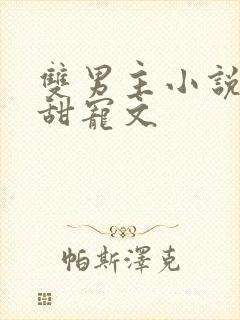 双男主小说推荐甜宠文